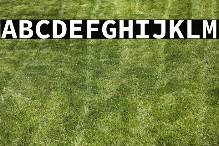 Source Code Pro Bold Example 2