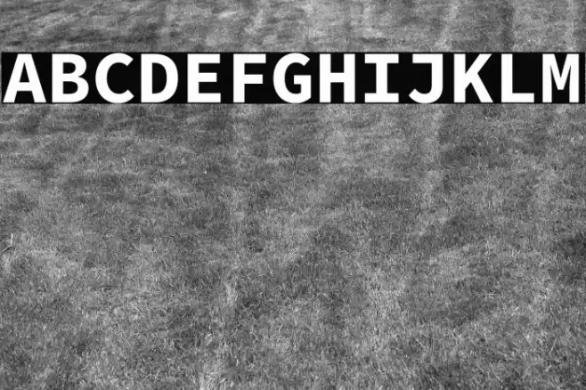 Source Code Pro Bold Font examples