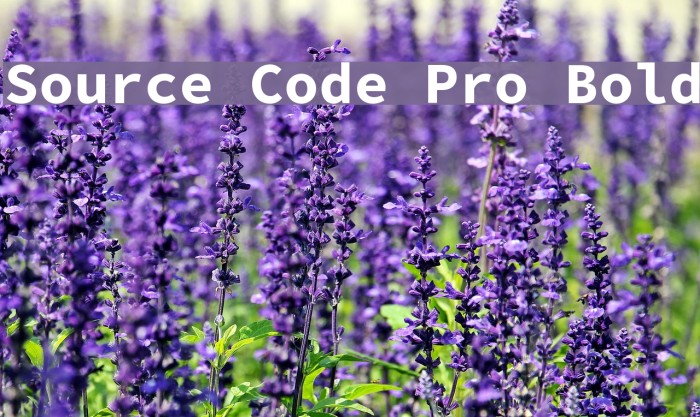 Source Code Pro Bold Schriftart examples