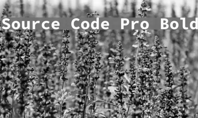 Source Code Pro Bold Schriftart examples