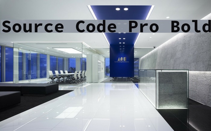 Source Code Pro Bold Schriftart examples