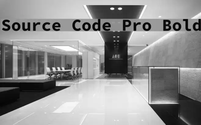 Source Code Pro Bold Schriftart examples