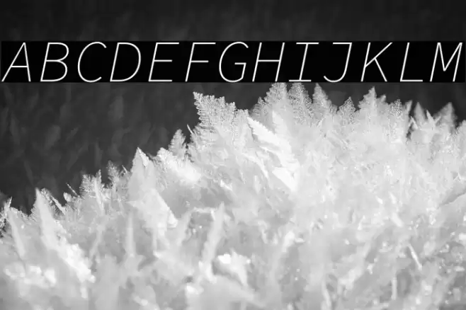 Source Code Pro ExtraLight Italic Font examples