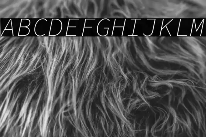 Source Code Pro ExtraLight Italic Font examples