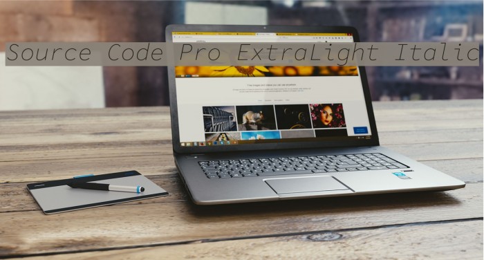 Source Code Pro ExtraLight Italic Font examples
