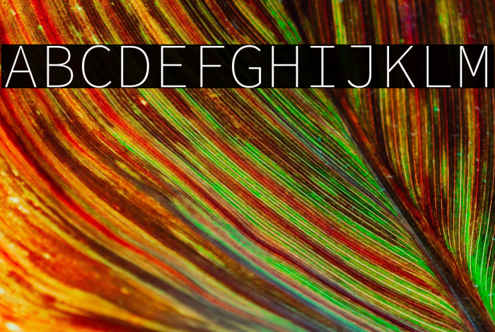 Source Code Pro ExtraLight Example 3