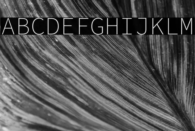 Source Code Pro ExtraLight Font examples