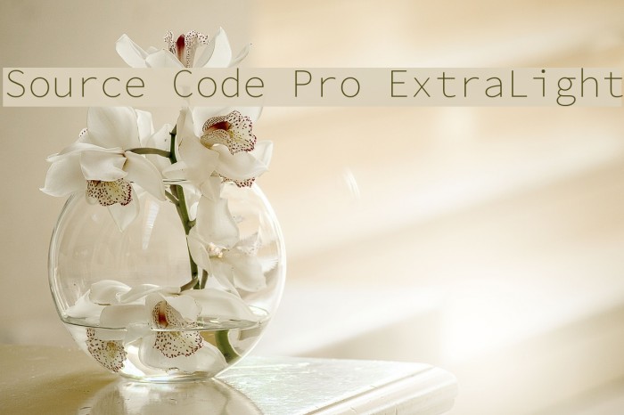 Source Code Pro ExtraLight Font examples