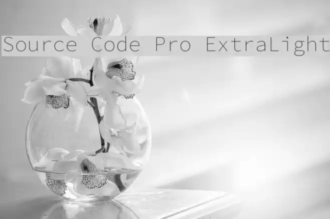 Source Code Pro ExtraLight Font examples