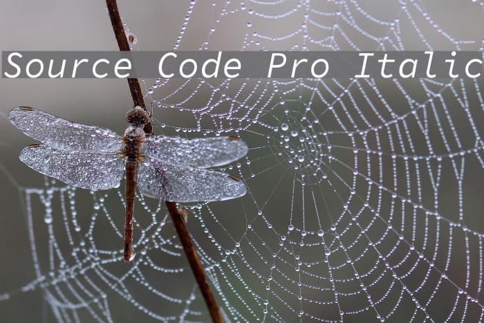 Source Code Pro Italic Font examples