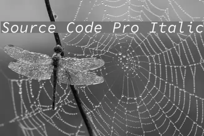 Source Code Pro Italic Шрифта examples