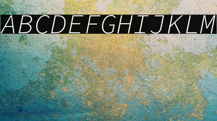 Source Code Pro Light Italic Example 2