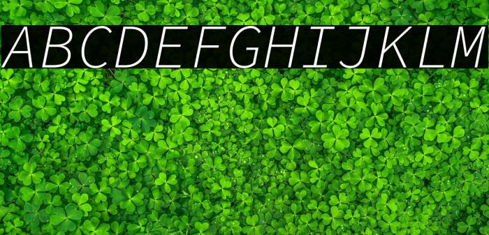 Source Code Pro Light Italic Example 3