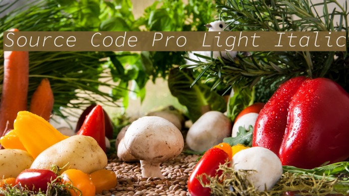Source Code Pro Light Italic Schriftart examples