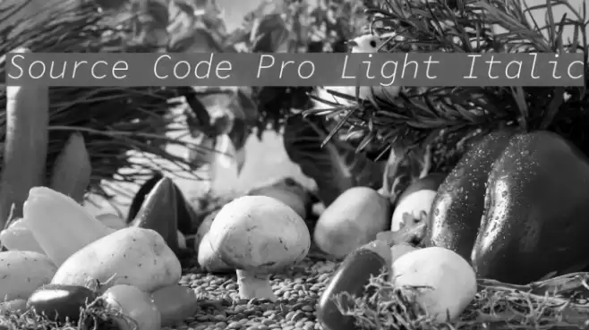Source Code Pro Light Italic examples