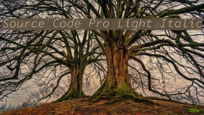 Source Code Pro Light Italic Schriftart examples