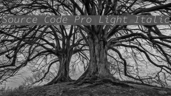 Source Code Pro Light Italic examples