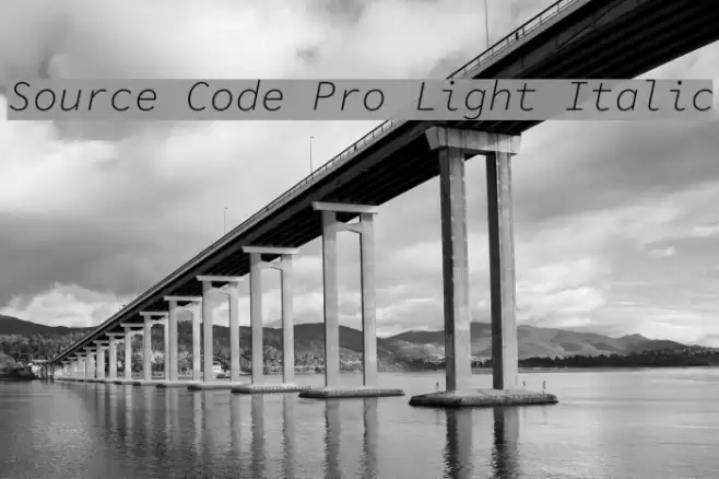 Source Code Pro Light Italic examples