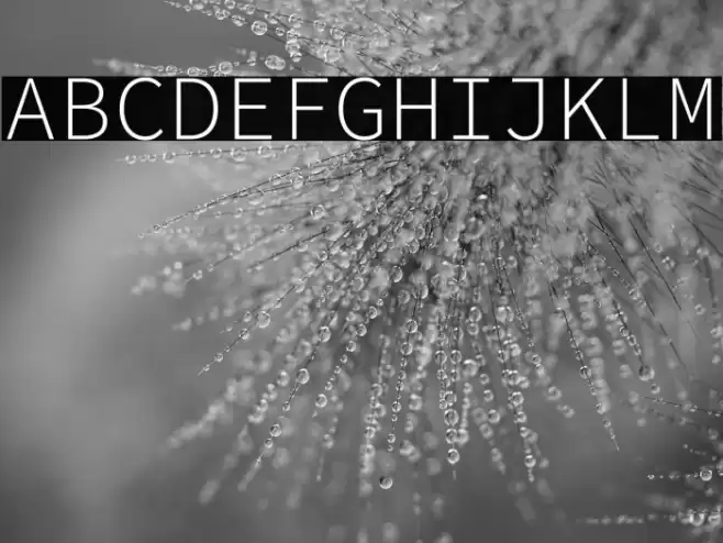 Source Code Pro Light Font examples