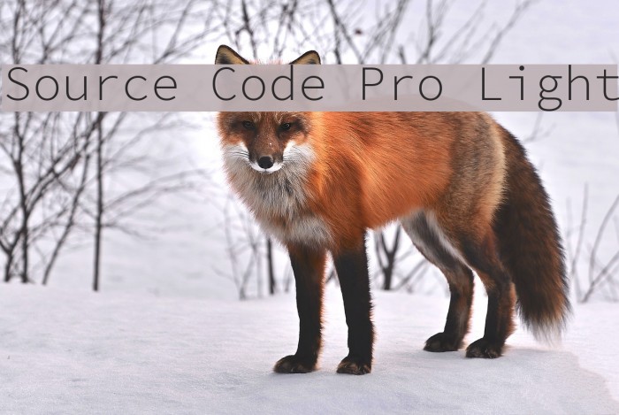 Source Code Pro Light Font examples