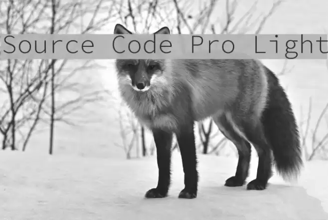 Source Code Pro Light  examples