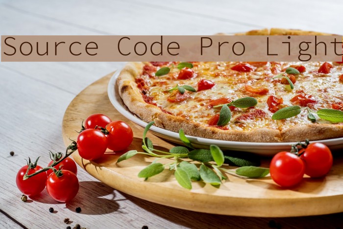 Source Code Pro Light Font examples