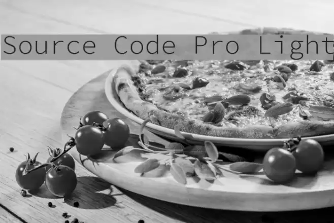 Source Code Pro Light  examples