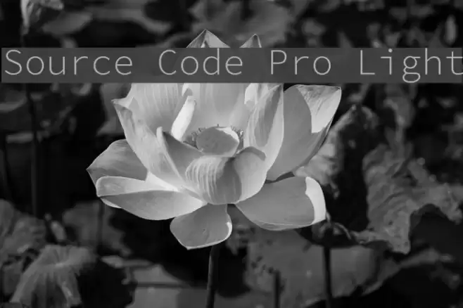 Source Code Pro Light  examples