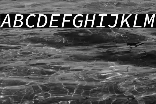 Source Code Pro Medium Italic Font examples