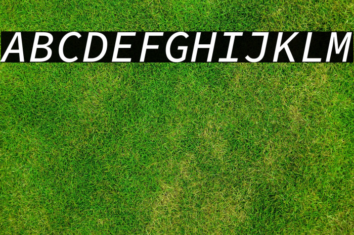 Source Code Pro Medium Italic Example 3