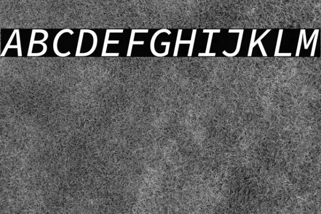 Source Code Pro Medium Italic Font examples