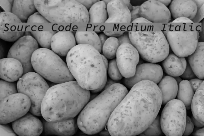 Source Code Pro Medium Italic Font examples