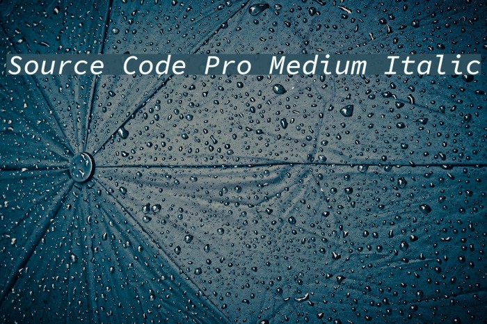 Source Code Pro Medium Italic Font examples
