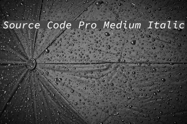 Source Code Pro Medium Italic Font examples