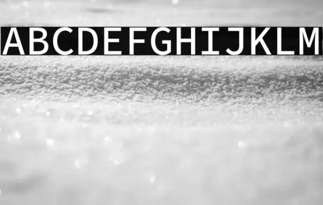 Source Code Pro Medium Font examples