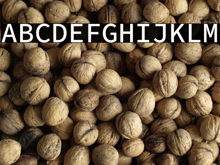 Source Code Pro Medium Example 2