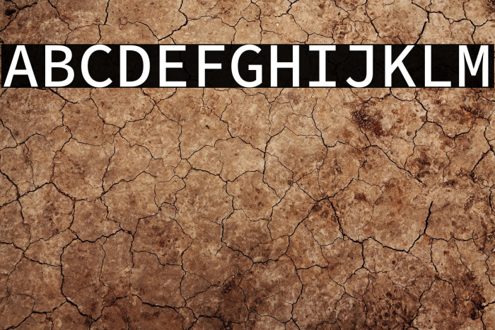 Source Code Pro Medium Example 3