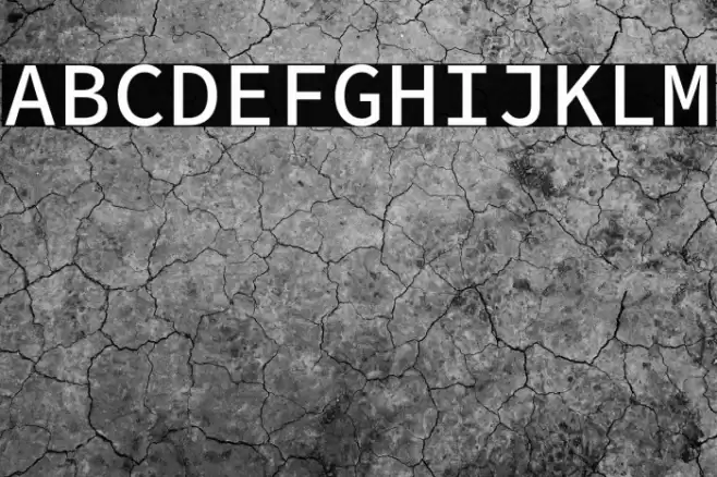 Source Code Pro Medium Font examples