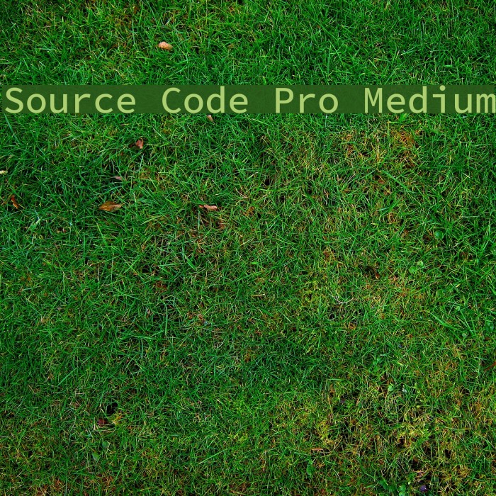 Source Code Pro Medium Font examples