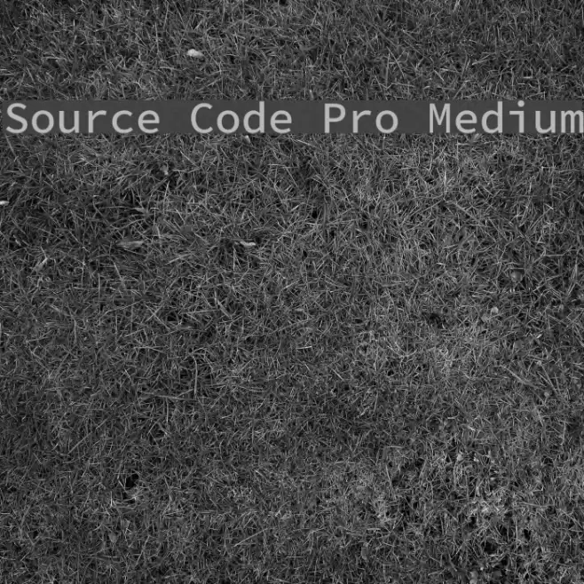 Source Code Pro Medium Font examples