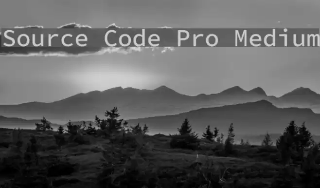 Source Code Pro Medium Font examples