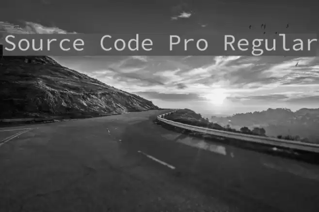 Source Code Pro Regular Font examples