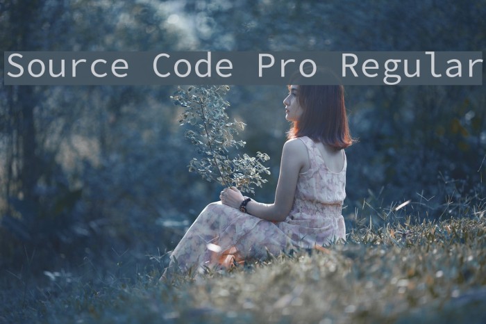 Source Code Pro Regular examples
