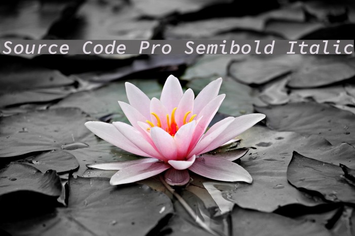 Source Code Pro Semibold Italic Font examples