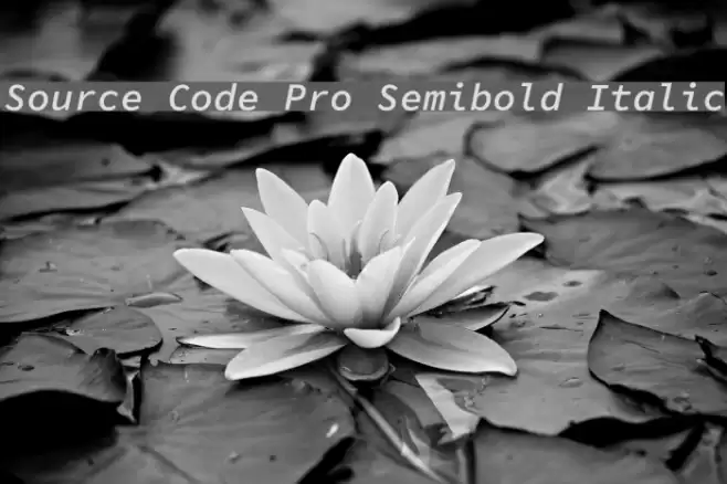 Source Code Pro Semibold Italic Font examples