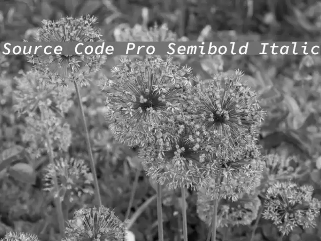Source Code Pro Semibold Italic Font examples