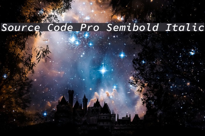 Source Code Pro Semibold Italic Font examples