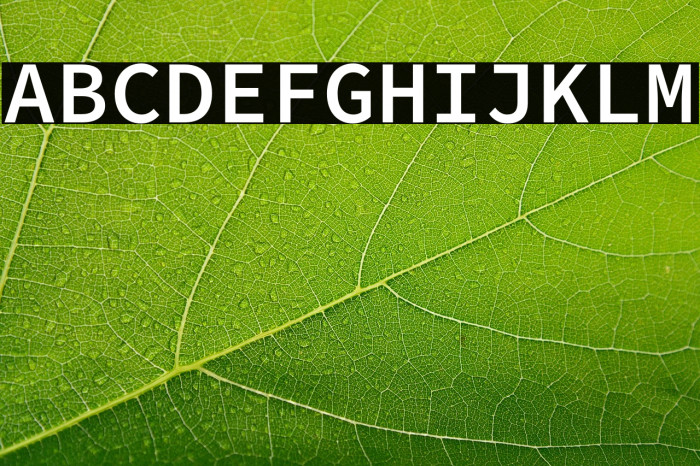 Source Code Pro Semibold Example 1