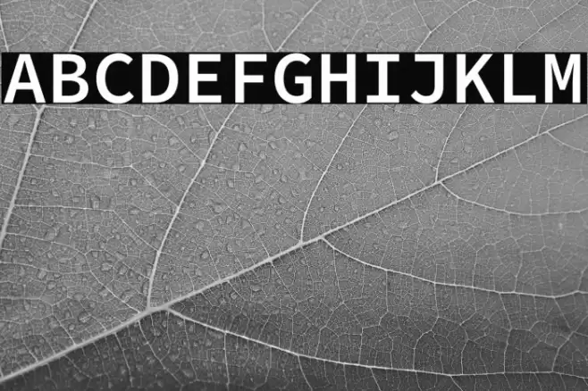 Source Code Pro Semibold Font examples