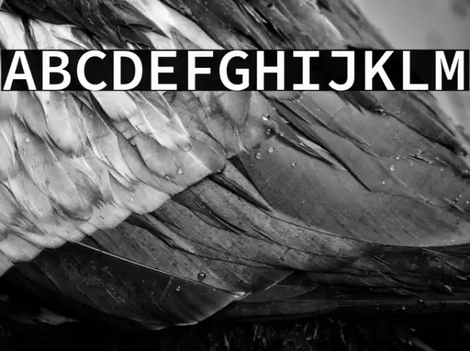 Source Code Pro Semibold Font examples